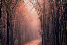 乐博体育:悬念继续!多库禁区横传,德库耶佩推射破门打破僵局.