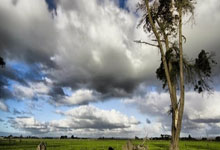 英超第3輪阿森納2-2富勒姆 慘遭十人富勒姆逼平 阿森納錯失榜首！.