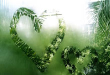 亚青赛手记01：一场十年之后的复仇，但这够了吗？.